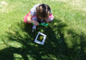 Dziewczynka ogląda przez lupę trawę na ogrodzie przedszkolnym.